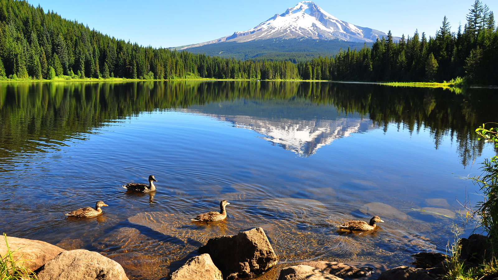 Trillium Lake Oregon
